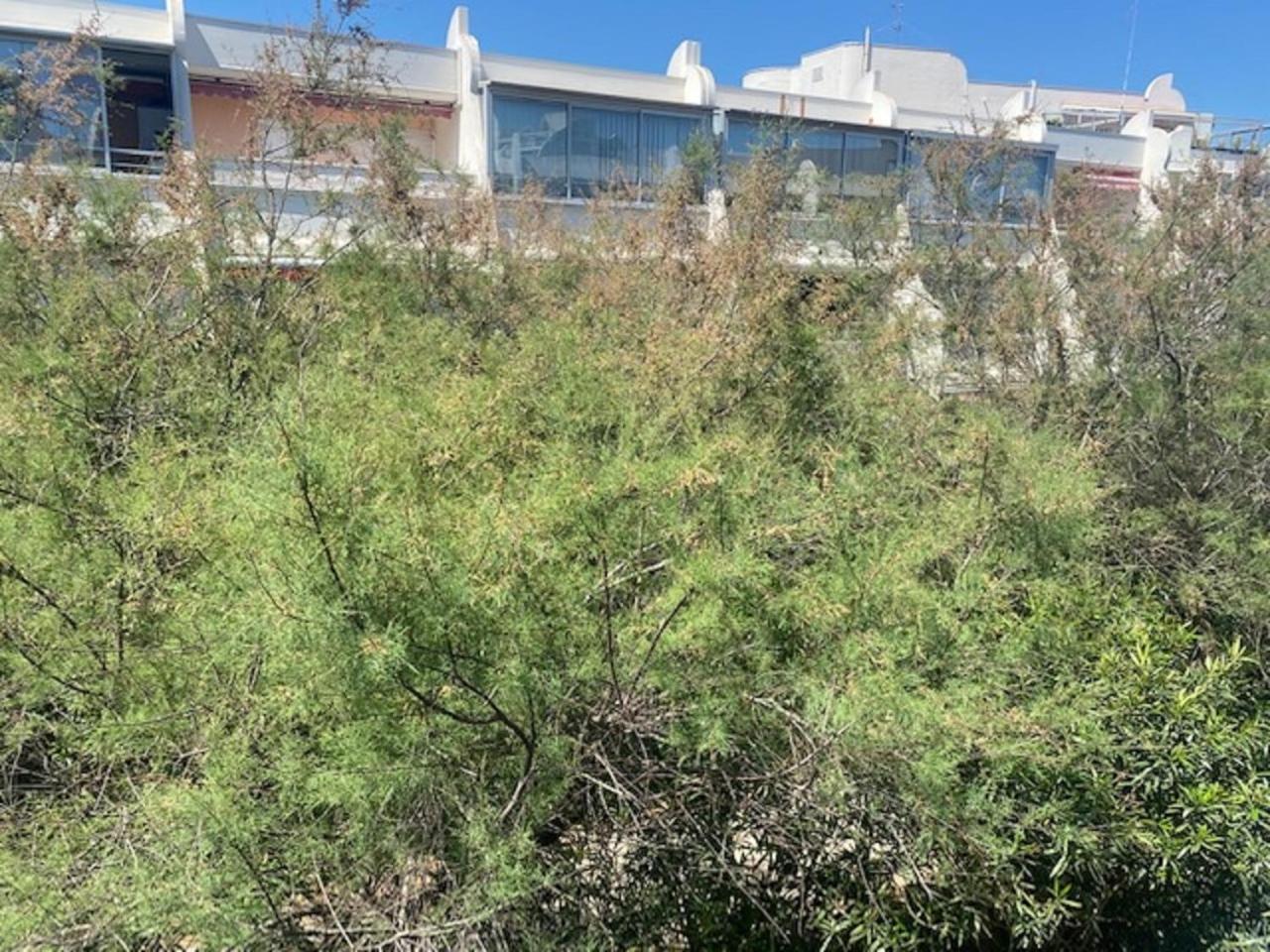 Vittoria Immobilier 2 -Reglement Sur Place - Cheques Vacances Acceptes La Grande Motte Cameră foto